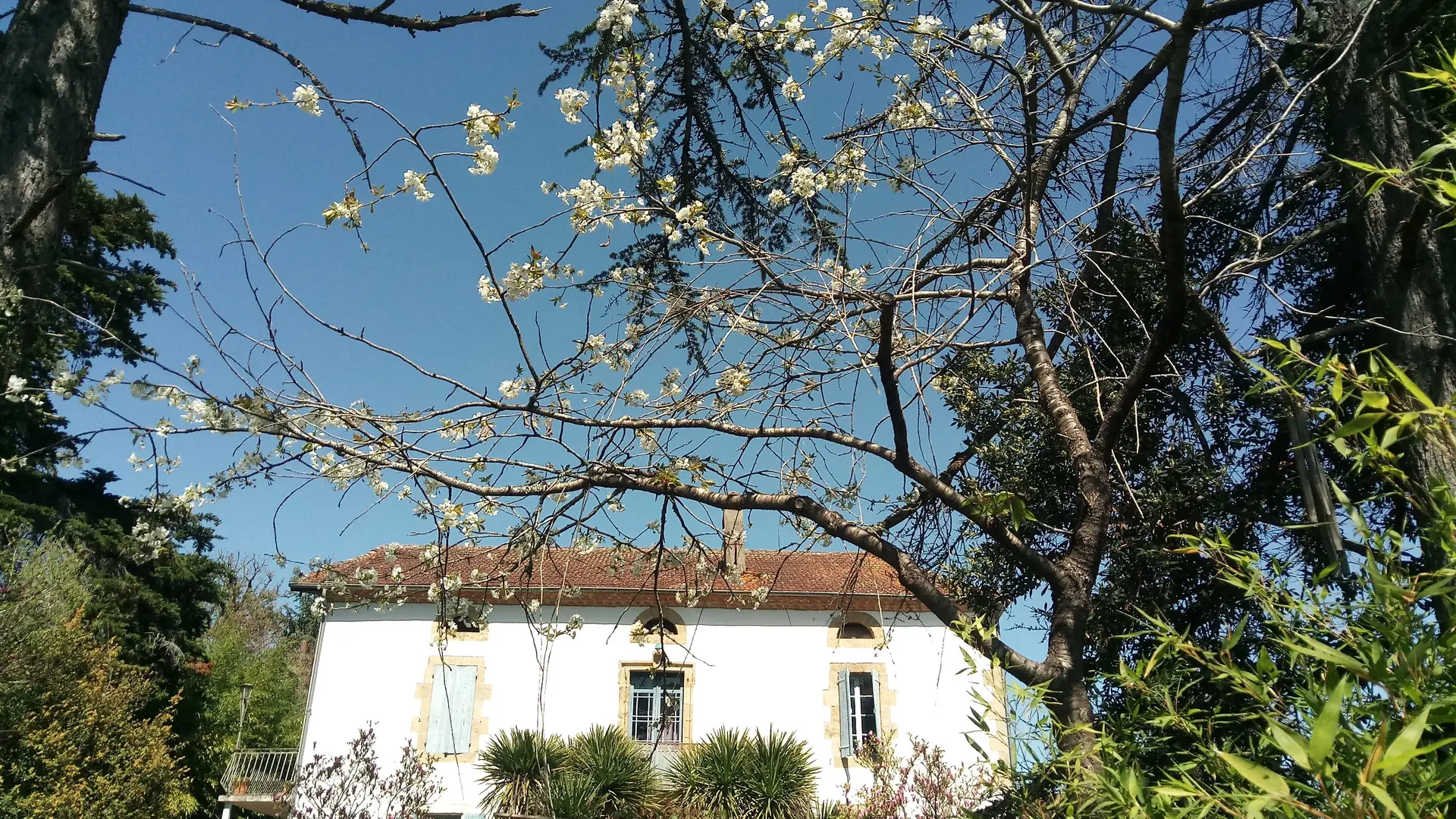 Chambre_Cazaux_d_Angles_12