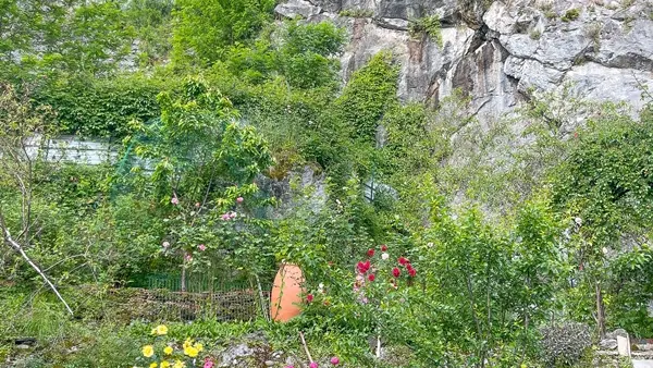 Chambres d_hotes la Rose du Chateau (13)