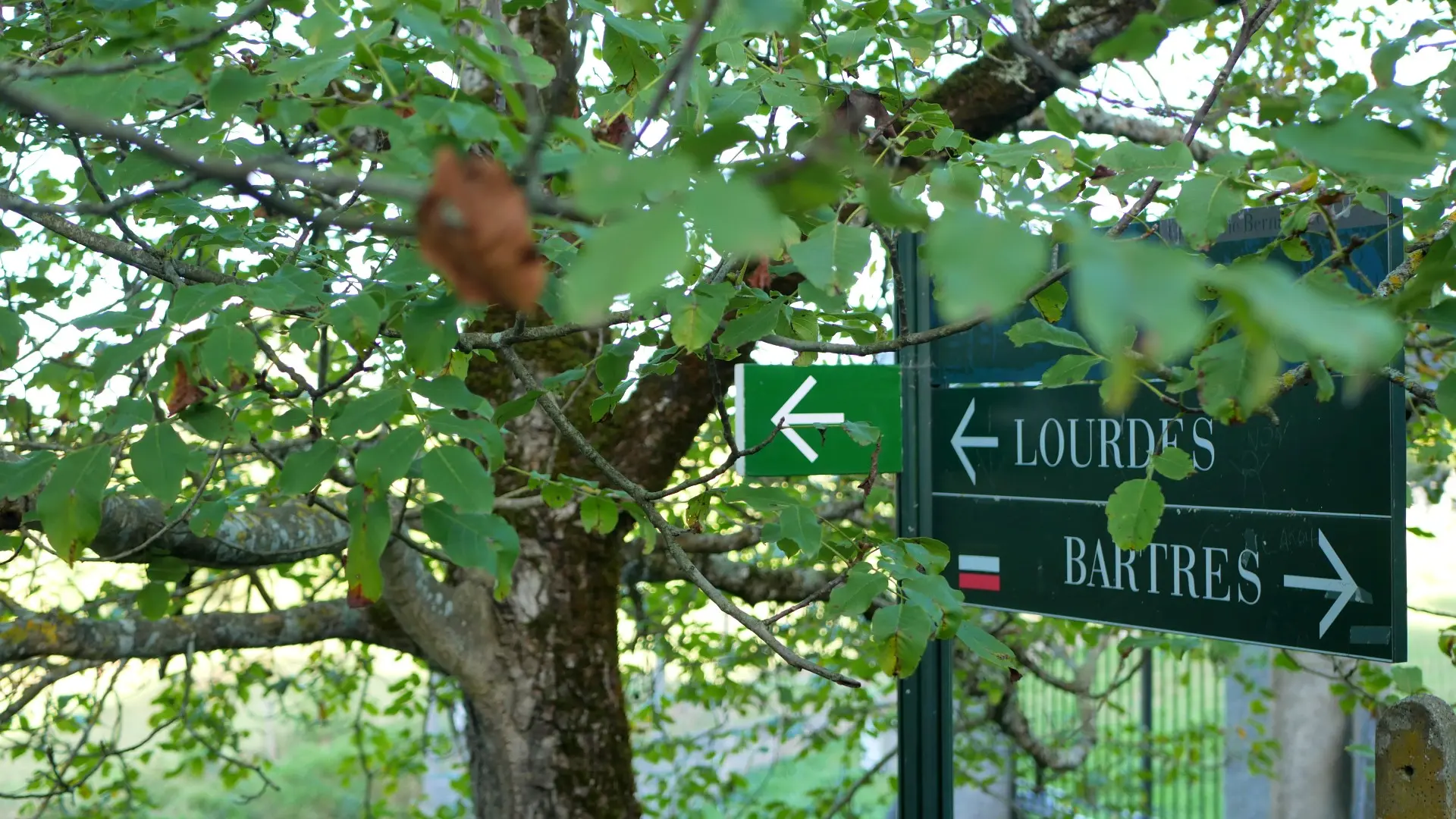 Chemin de Bernadette panneau arbre