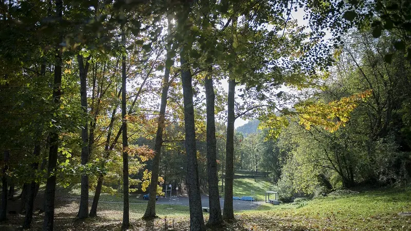 Cité St Pierre - parc