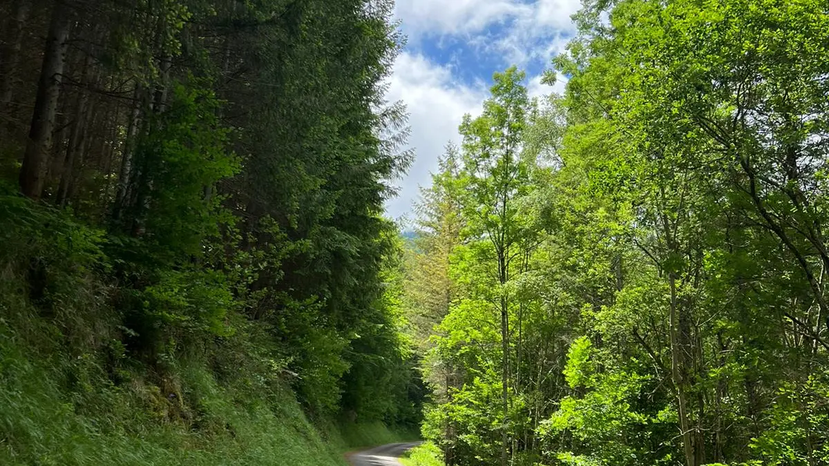 Col de Beyrède-WA0010
