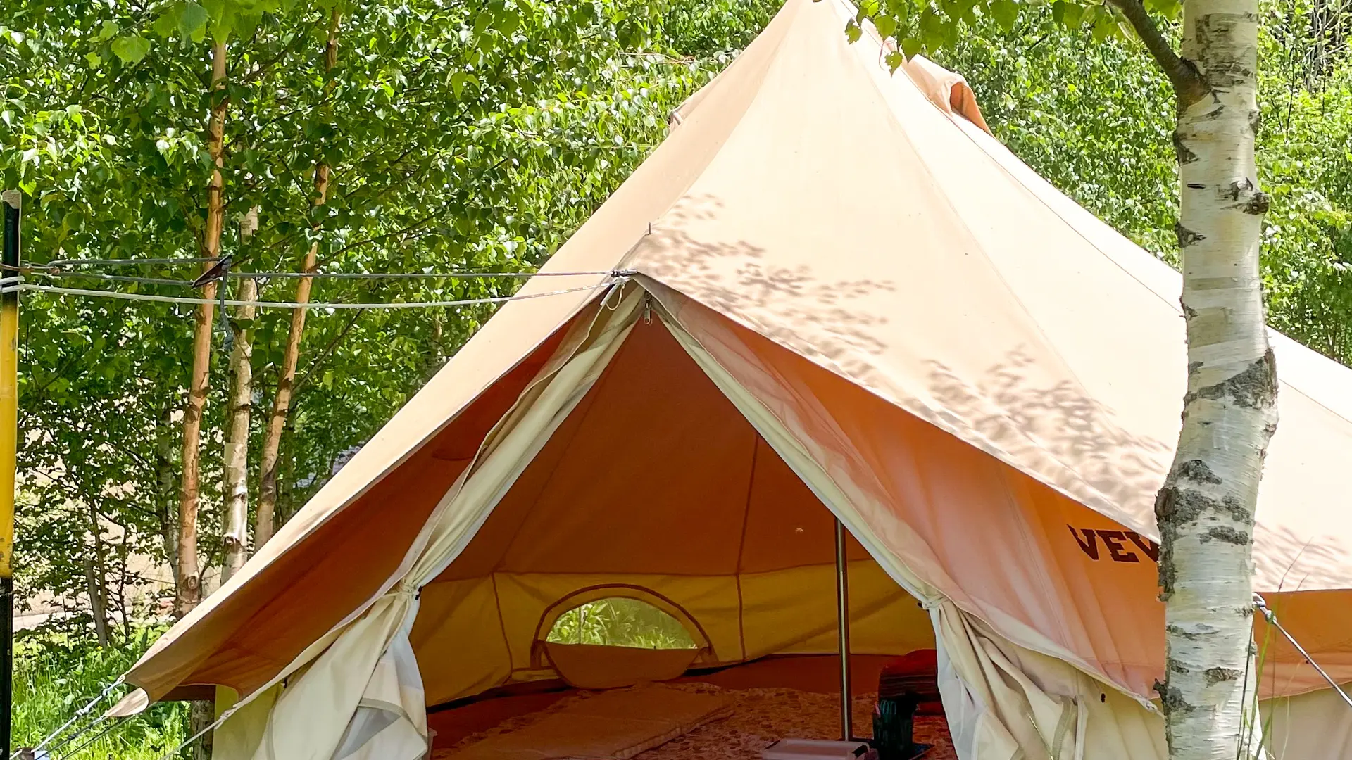 Cyanotype Tipi 4
