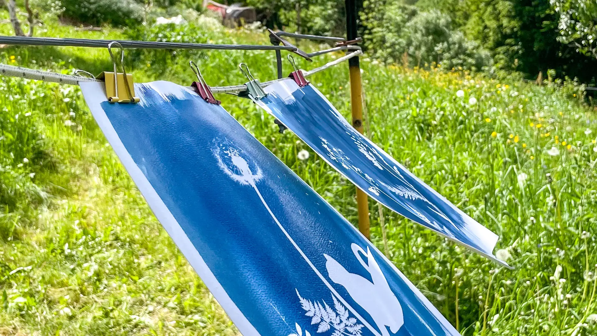 Cyanotype