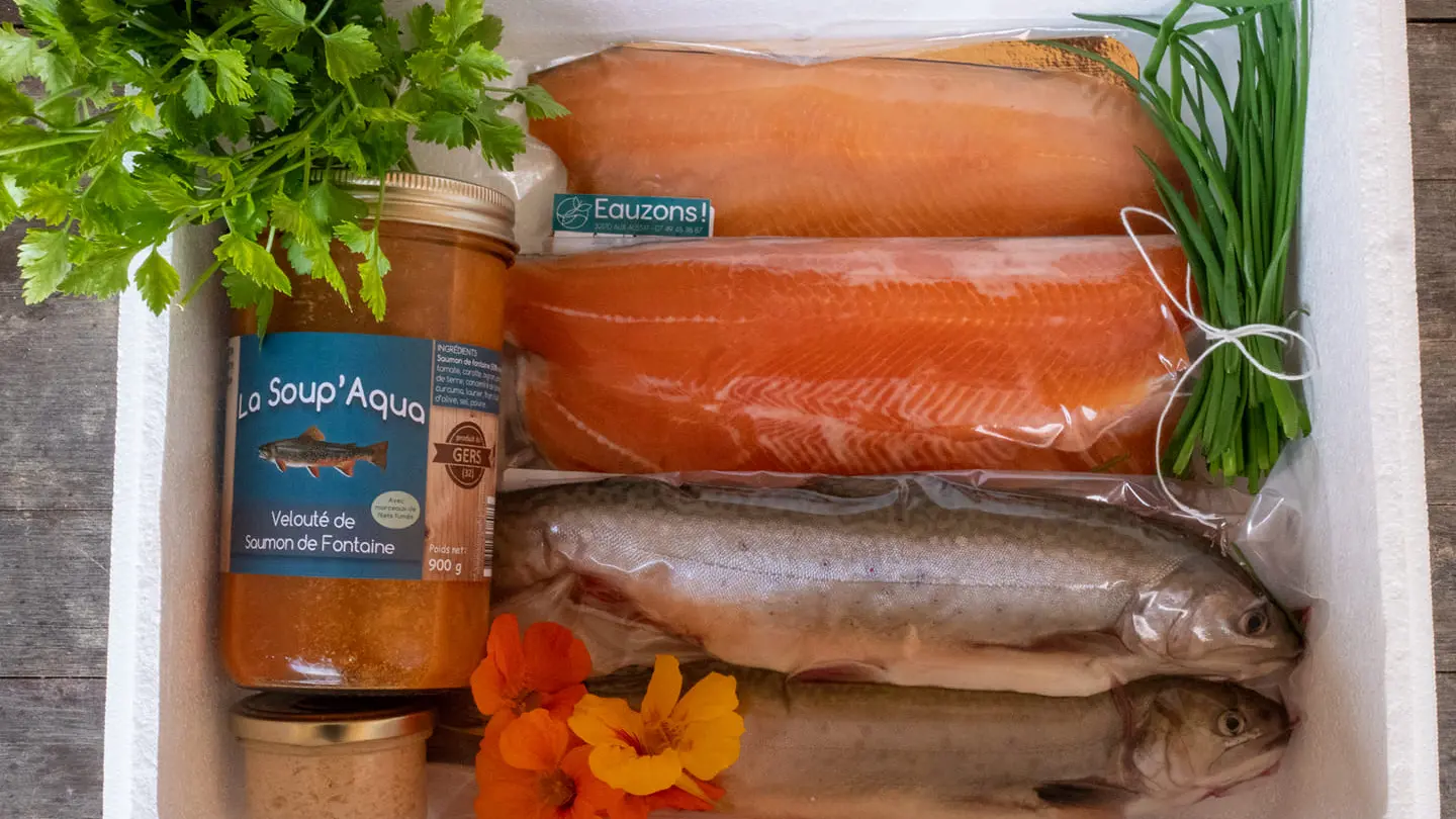 Eauzons saumon Gers Aux Aussat © Eauzons