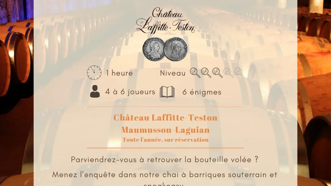 Escapegamelaffitteteston©laffitteteston (3)