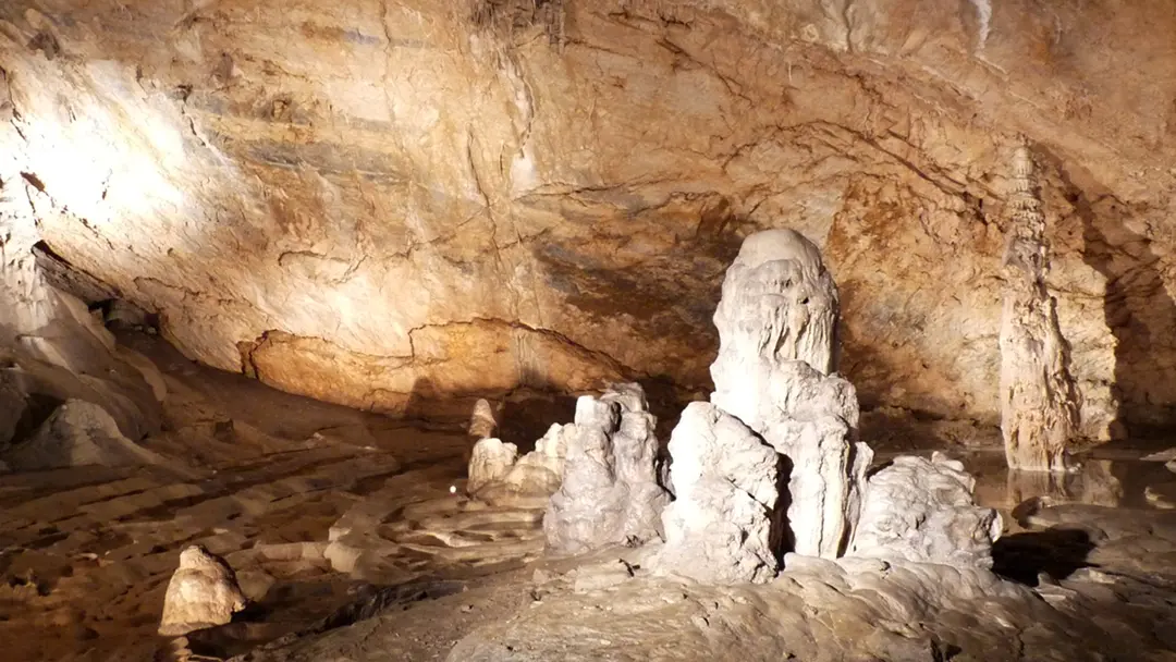 Espace Préhistoire Labastide (5)