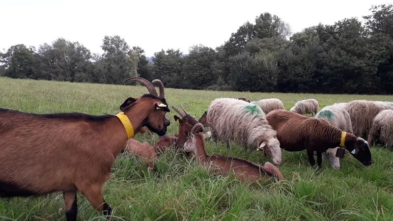 Ferme des Hourcades