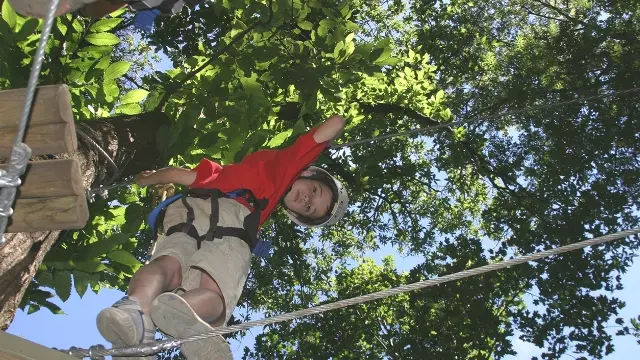 La Forêt Suspendue à Guchen