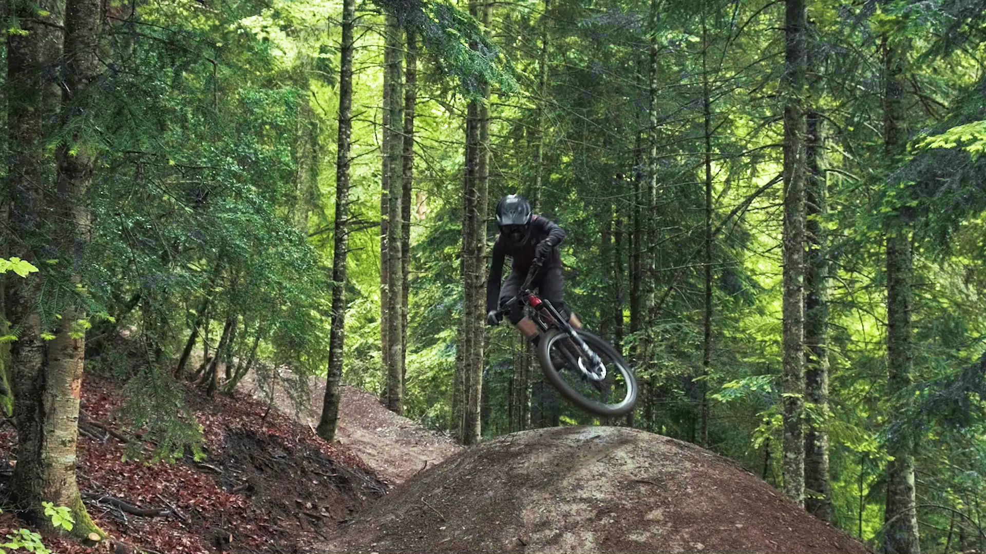 Flow trail @davidbergar