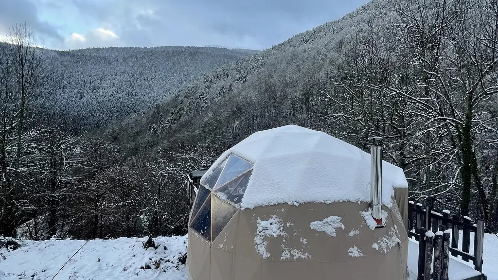 HPCH173-L INSOLITE DES PYRENEES-BARRANCOUEU - Hount Hiver