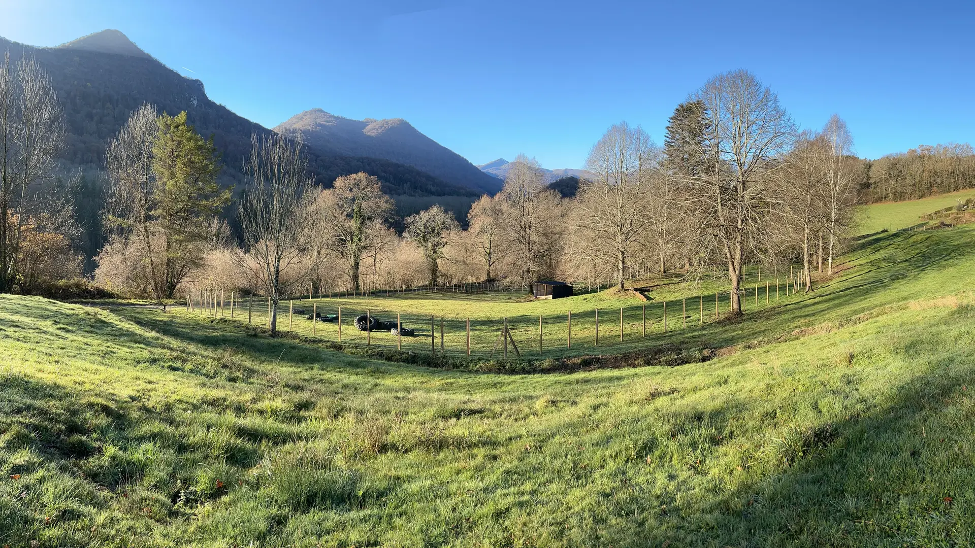 Lourdes Caniprairie 3