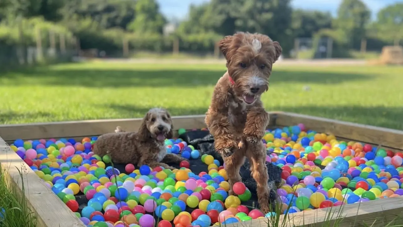 Lourdes Caniprairie 2