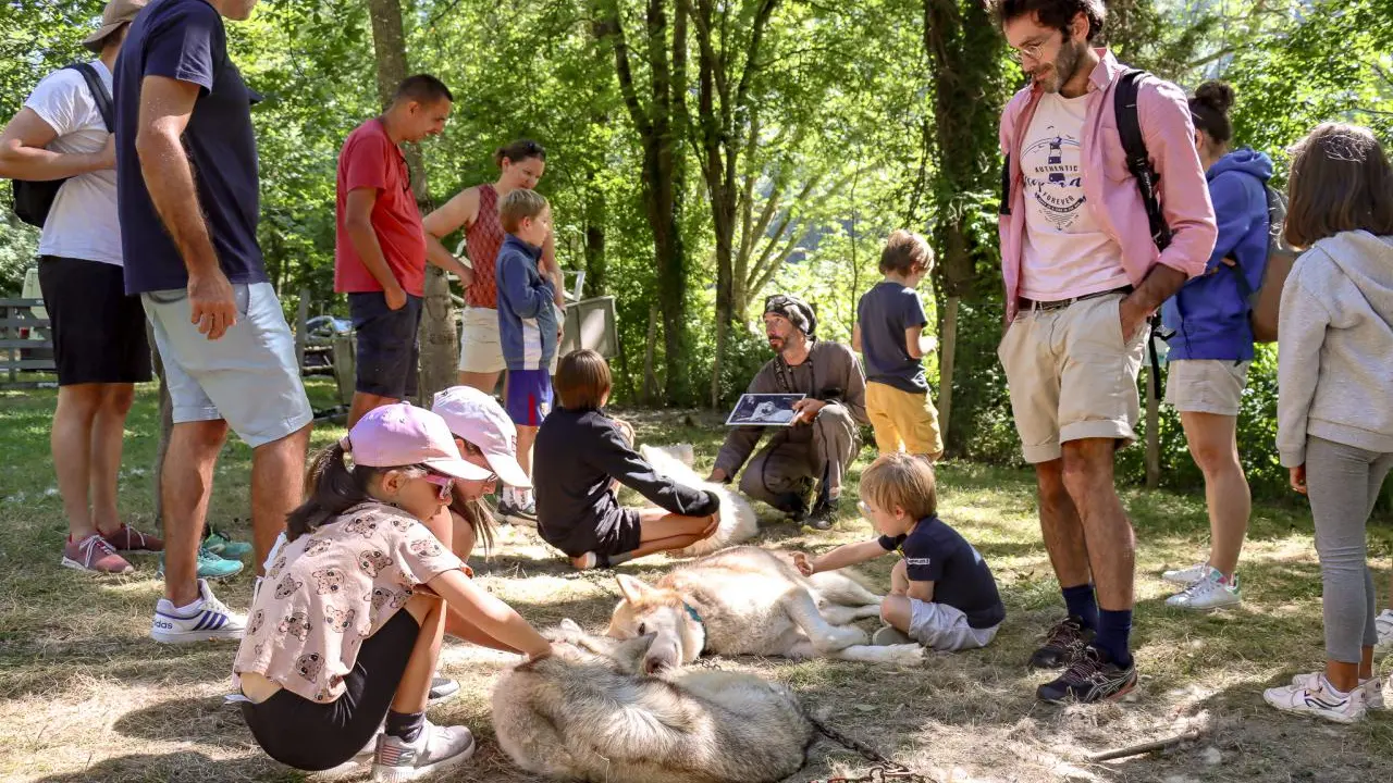découverte de la vie avec des chiens nordiques
