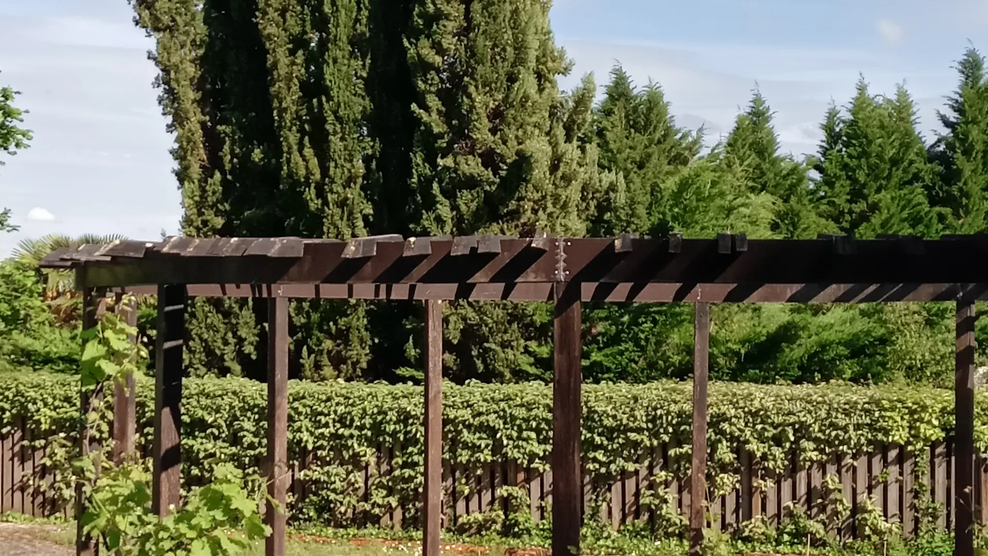 Jardin