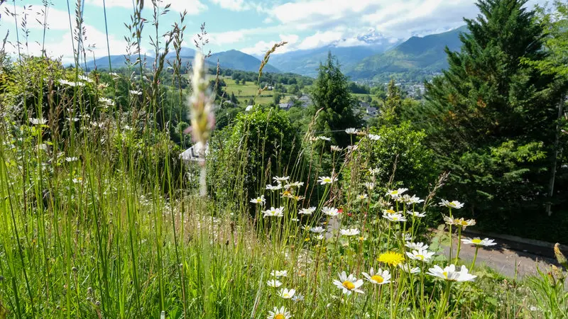 Jardin