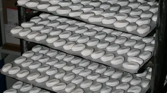 LES FLOCONS PYRENEENS3