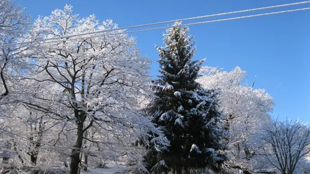 LOURDES SAYOUS PARC EXTERIERUS (4)