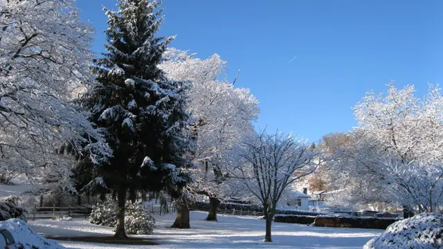 LOURDES SAYOUS PARC EXTERIERUS (5)