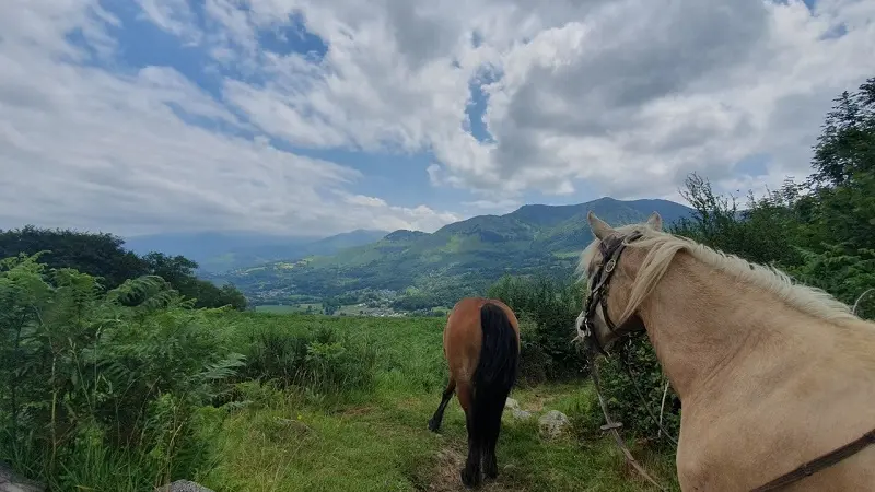 La ferme du poney fringuant - 2