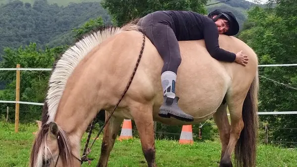 La ferme du poney fringuant