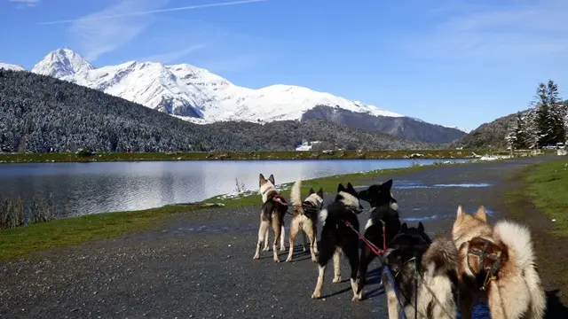 Le Repaire des Huskys au boulot1 WEB