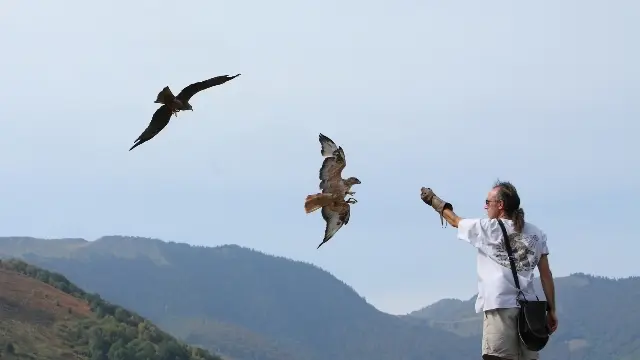 Les aigles d'Aure 3