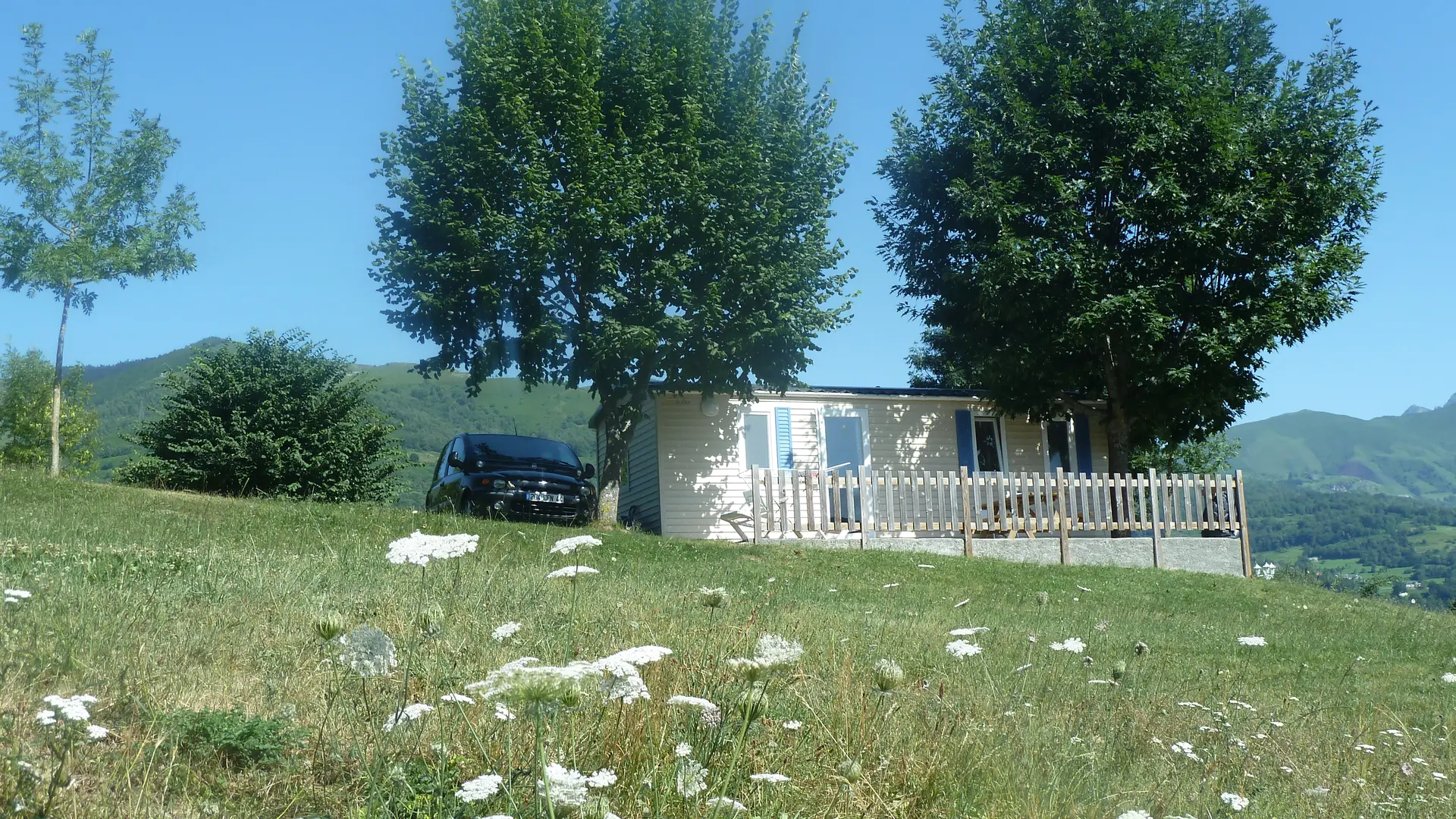 Location