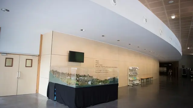 Lourdes Auditorium Padre Pio Cité St Pierre 5