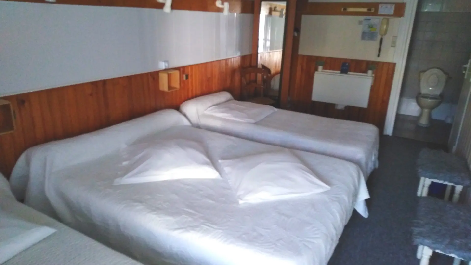 Lourdes Hotel Chalet Saint Louis (3)