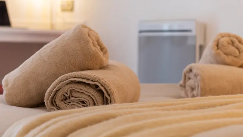 Lourdes_appartement Reine