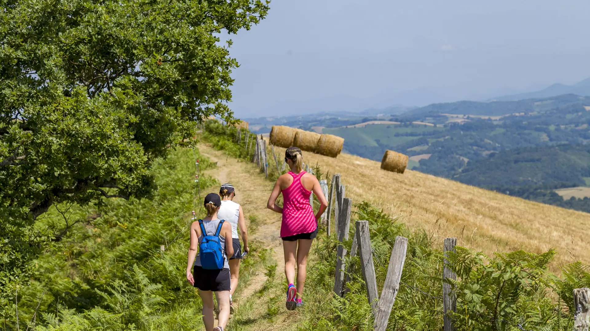 Marcheurs sentier_BD©P. Vincent-OT Lourdes_2015