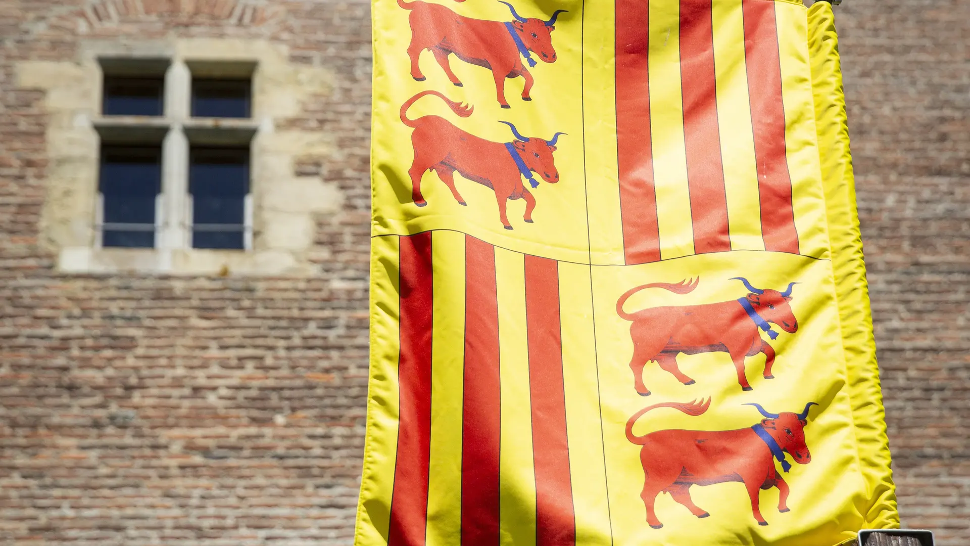 Drapeau de Fébus Château Montaner