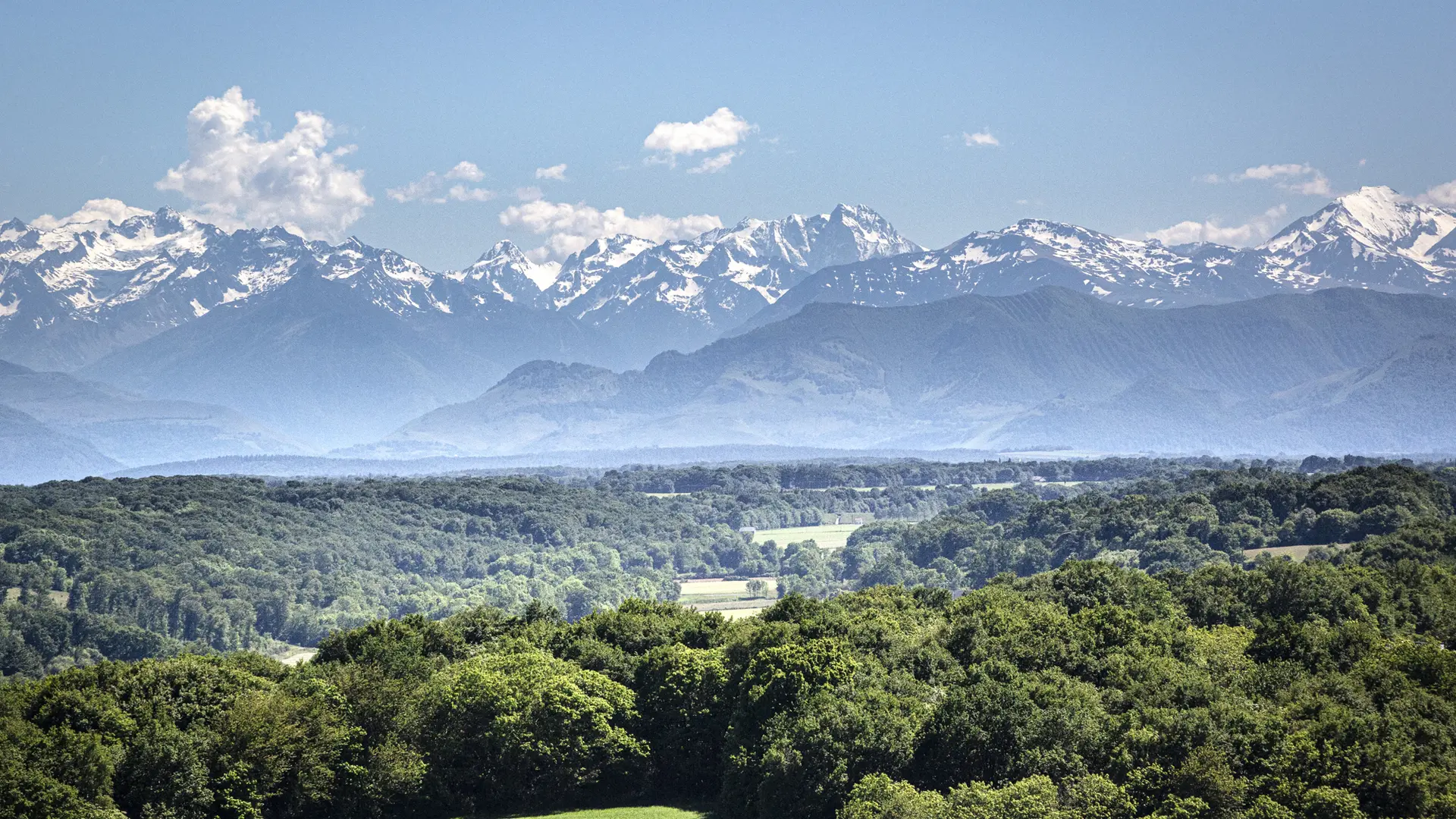 Vue du sommet