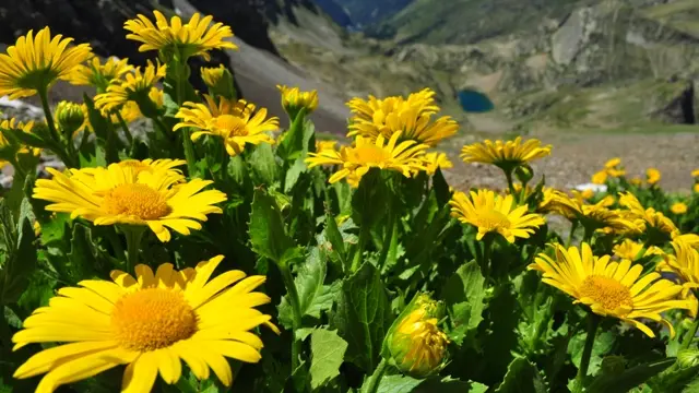 PYRENEES 2014 (141)WEB