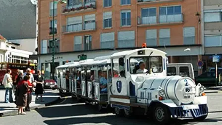 Lourdes Petit train touristique