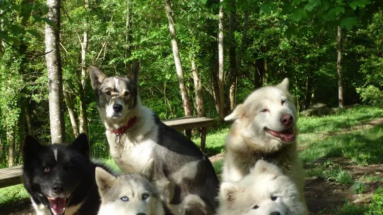 Photo Groupe