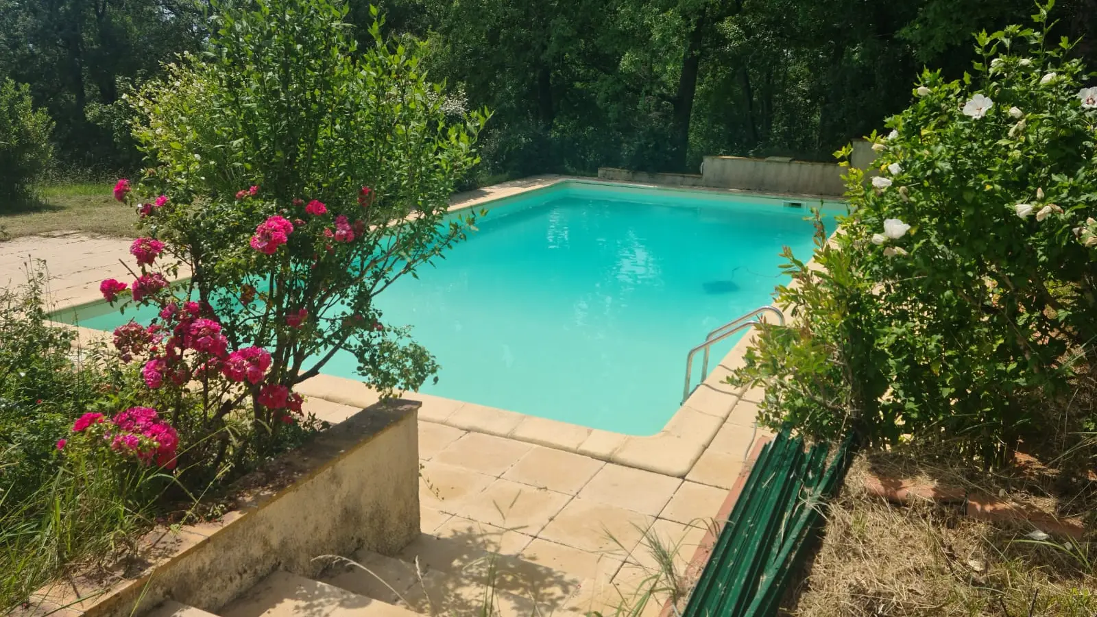 Piscine_Haget