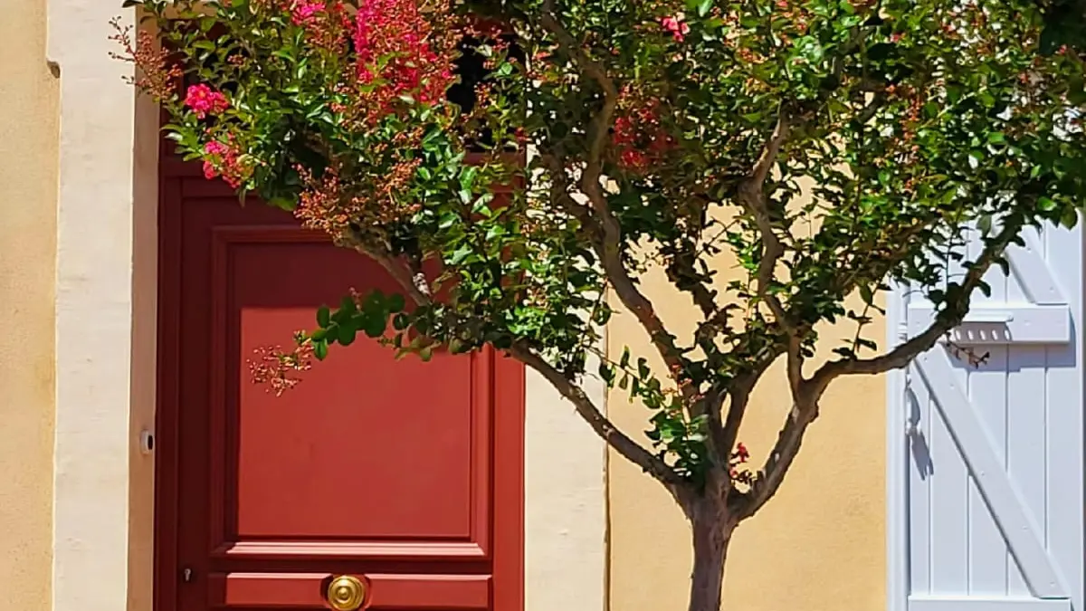 Porte