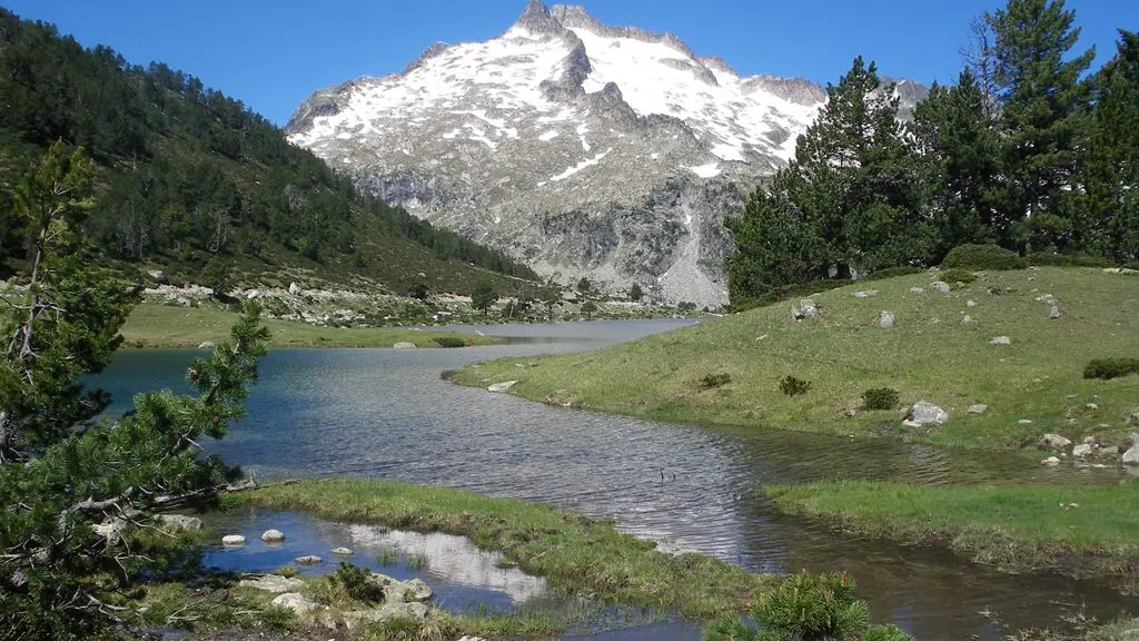 RESERVE NEOUVIELLE WEB