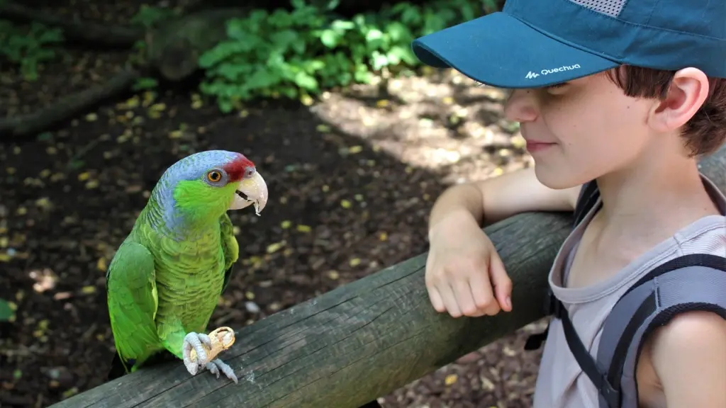 SIT-Zoo-Asson-Hautes-Pyrenees (5)