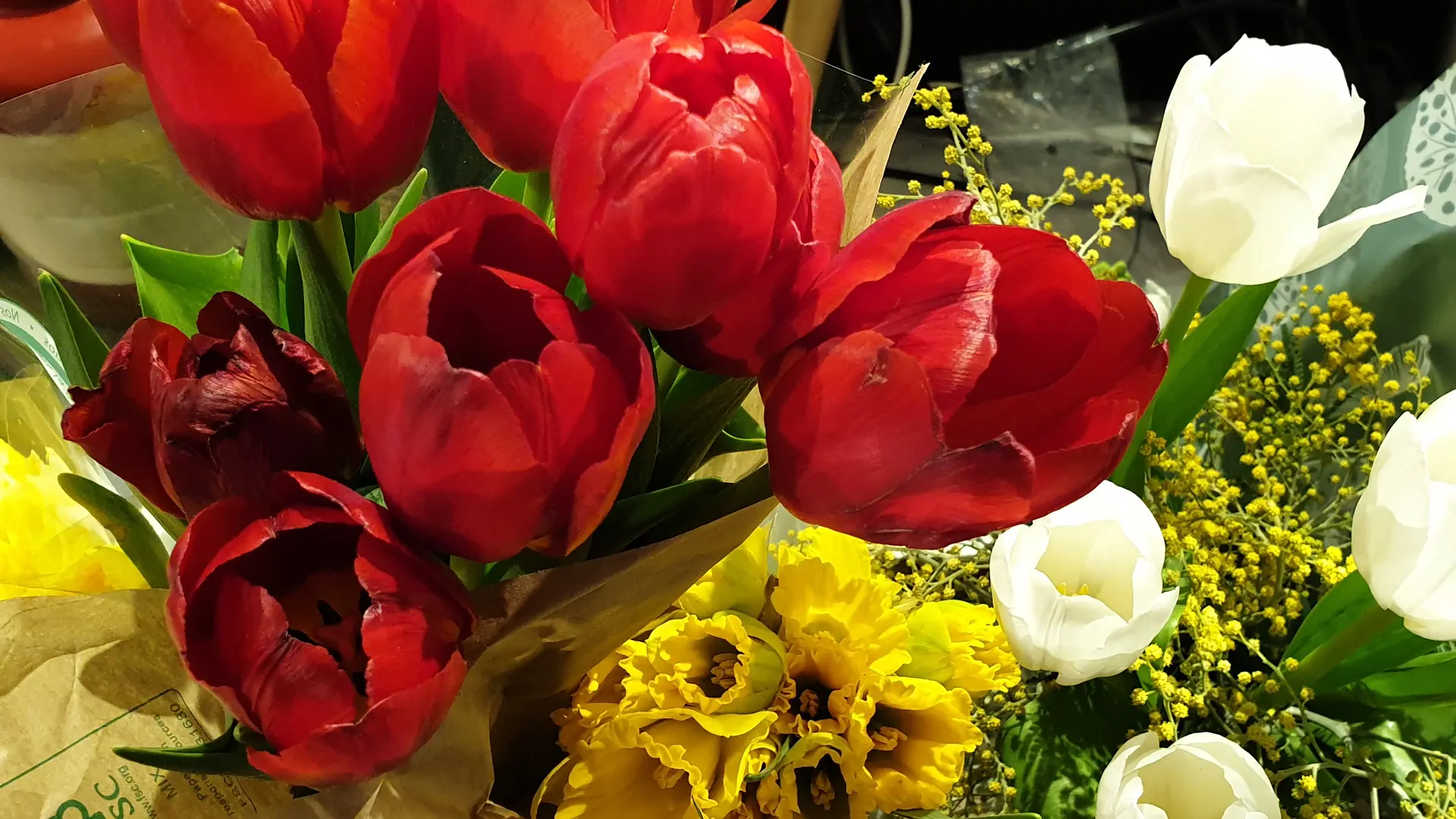Superette à Marciac tulipes©coccimarket