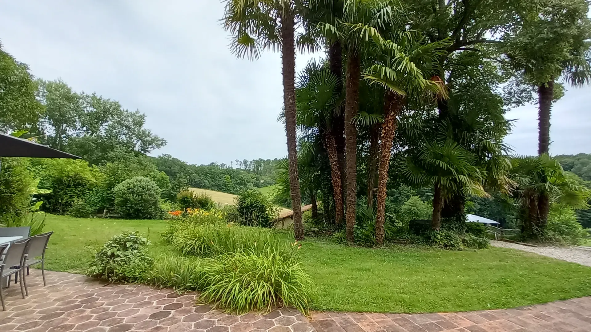 Vegetation_Courties