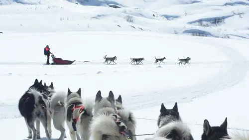 balade-chiens-de-traineaux-grand-tourmalet