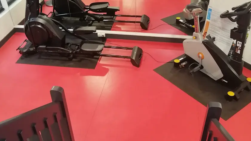 davezan royal milan fitness