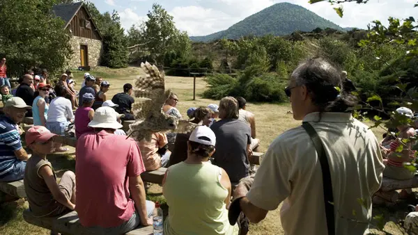 spectacle Aigles d'Aure