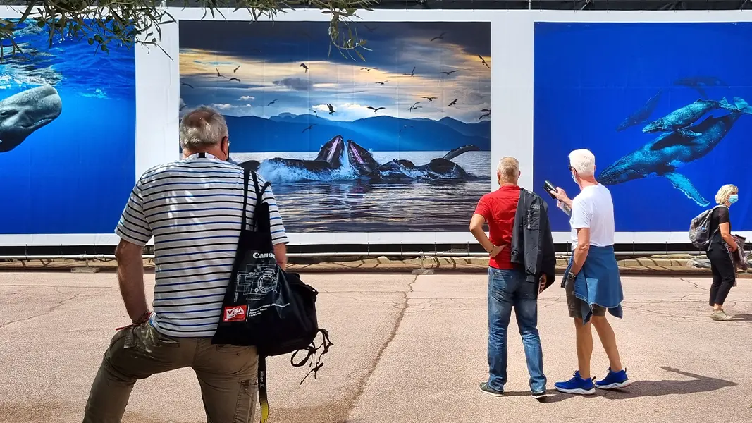 eglise des dominicains