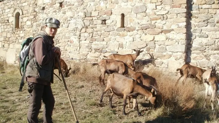 Randos avec les chèvres