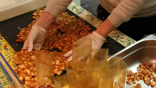 464023642_8626995210720227_772865019423223038_n