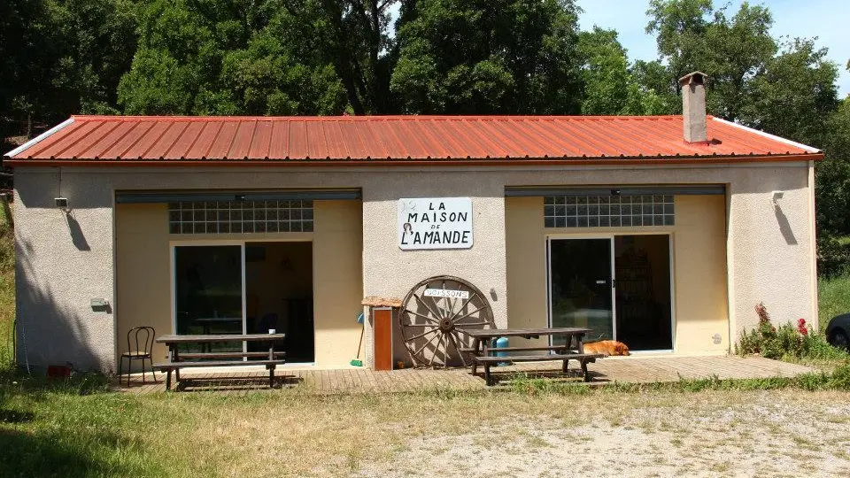 464197999_8627052927381122_2535263063642140015_n