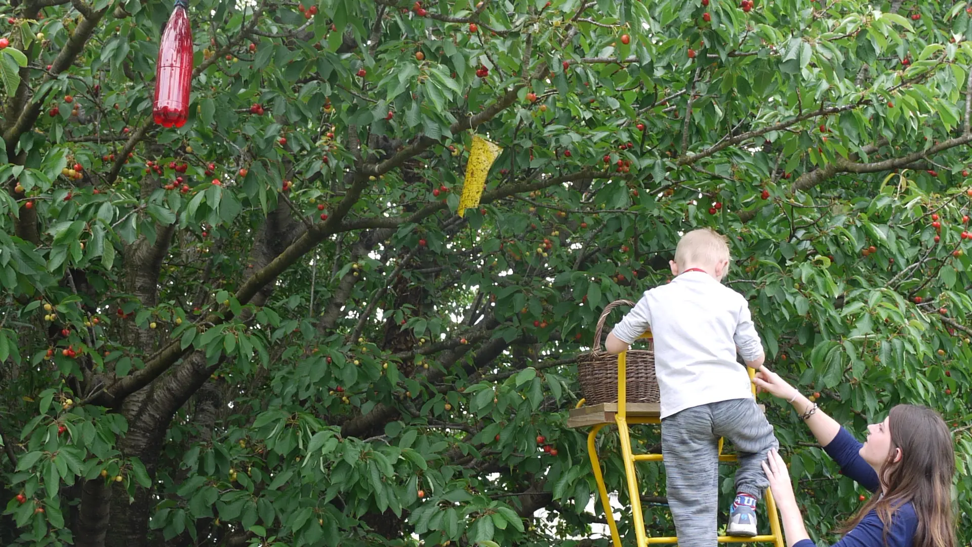 4Selfcueillette Ferme musicale 66690